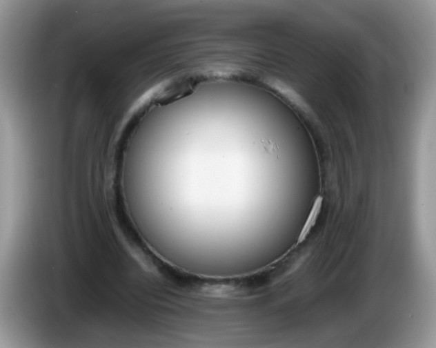 X0000086240440200704121936
