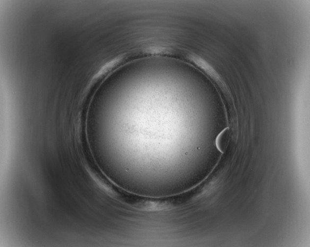 X0000086240442200704121936