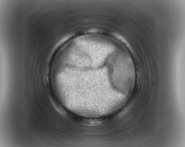 X0000086240443200704121936