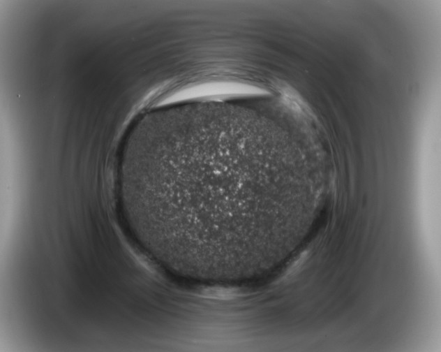 X0000086240444200704121936