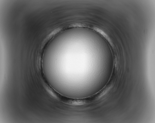 X0000086240445200704121936