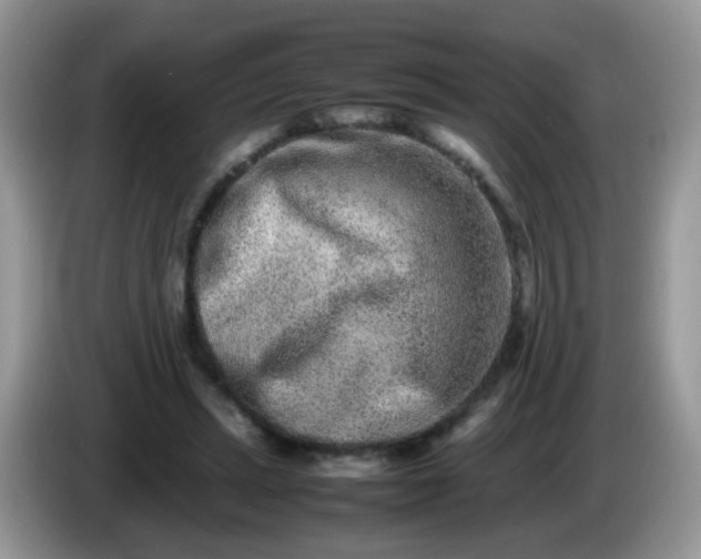 X0000086240447200704121936