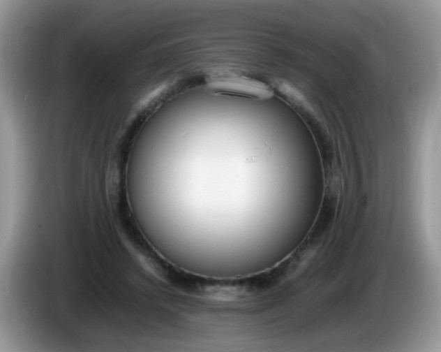 X0000086240448200704121936