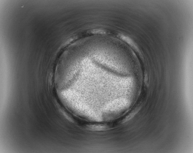 X0000086240449200704121936