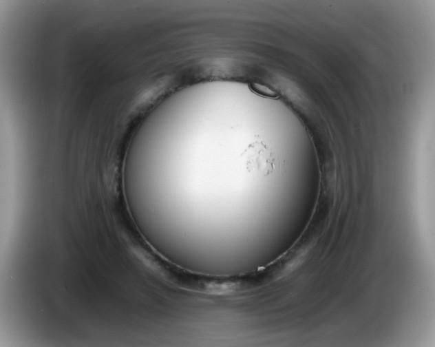 X0000086240450200704121936