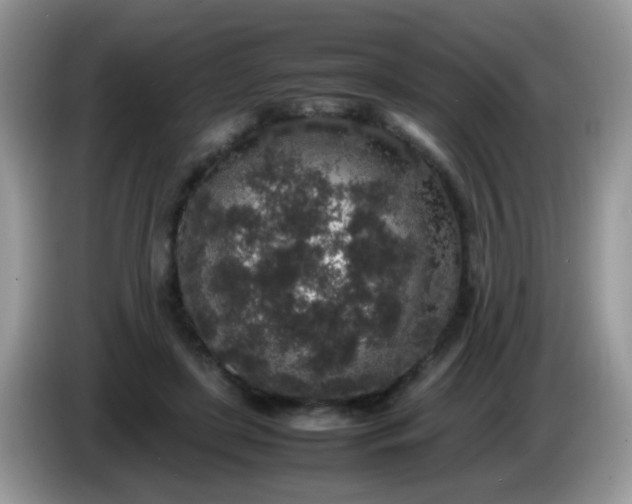 X0000086240451200704121936