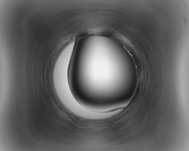 X0000086240452200704121936