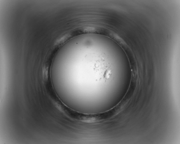 X0000086240454200704121936