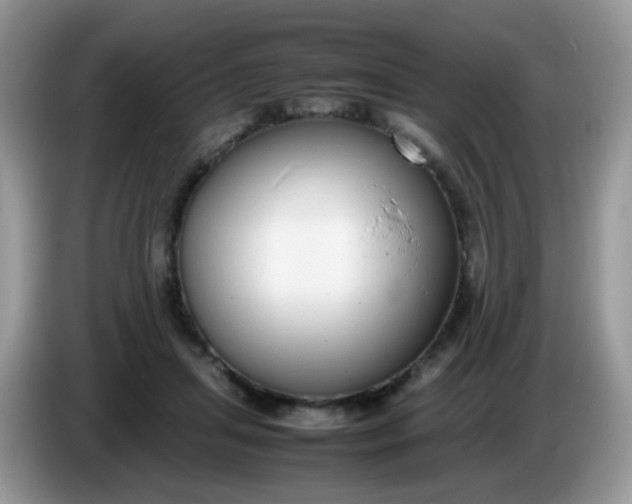 X0000086240455200704121936