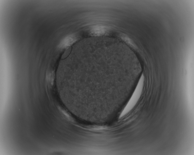 X0000086240458200704121936