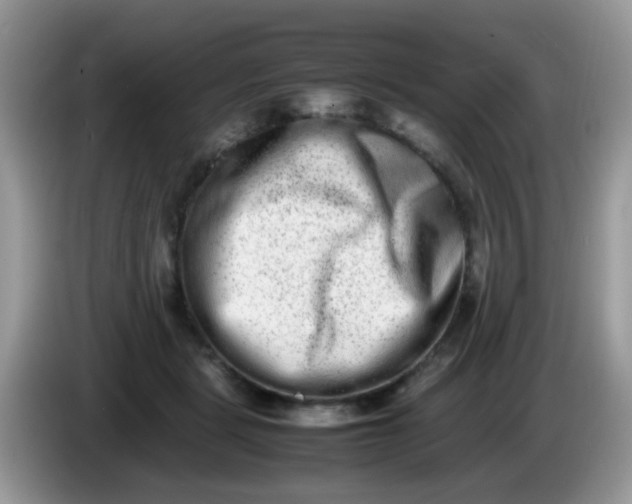 X0000086240461200704121936