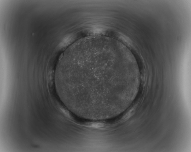X0000086240462200704121936