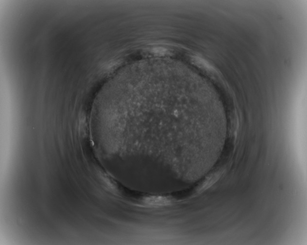 X0000086240465200704121937