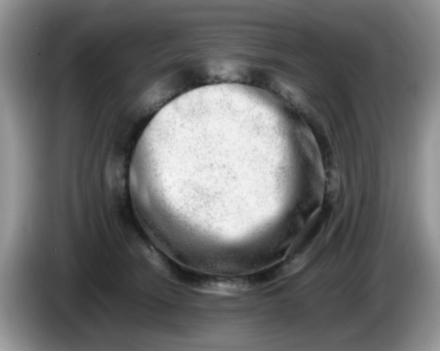X0000086240466200704121937
