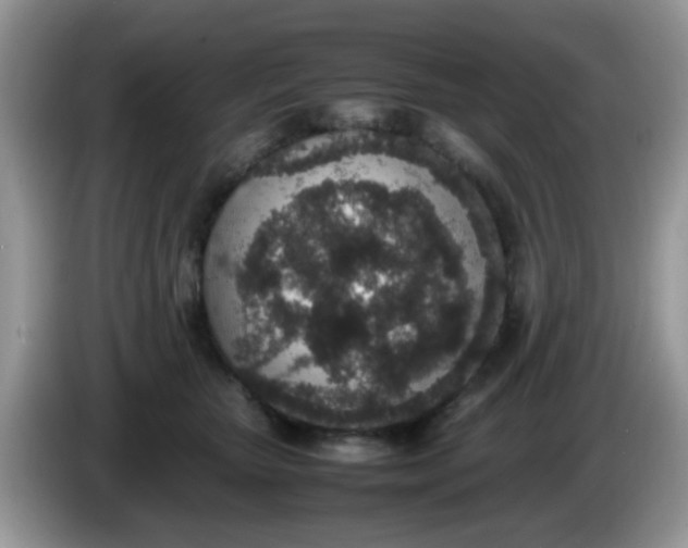 X0000086240467200704121937