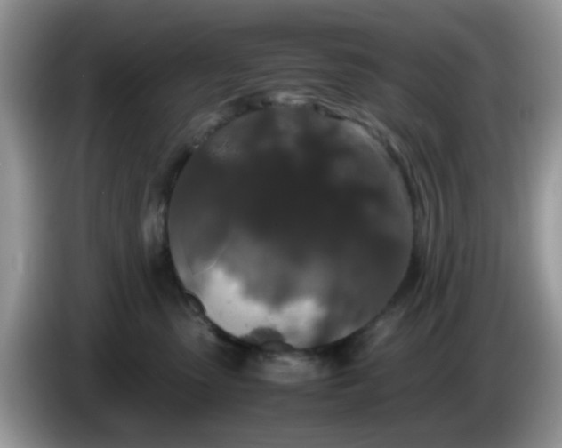 X0000086240475200704121937