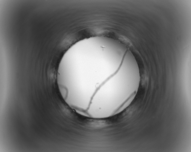 X0000086240476200704121937
