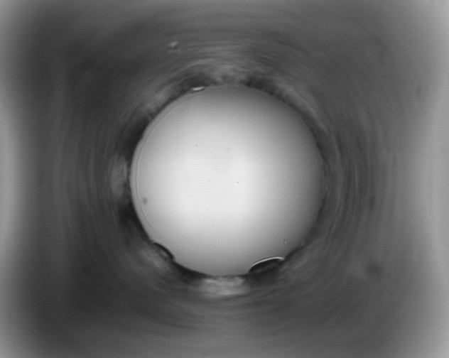 X0000086240480200704121937