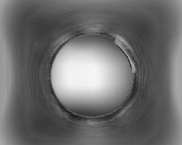 X0000086240481200704121936