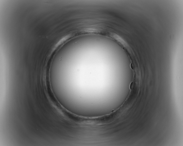X0000086240482200704121936