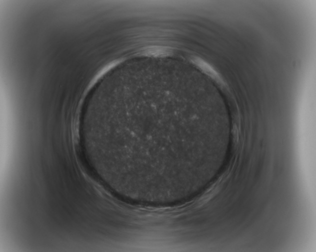 X0000086240484200704121936
