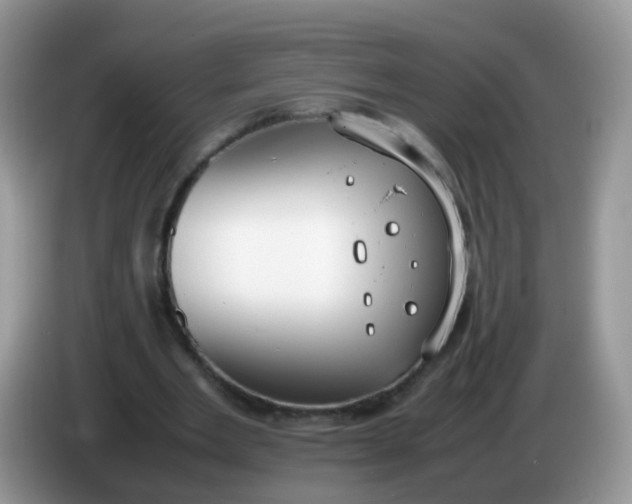 X0000086240485200704121936