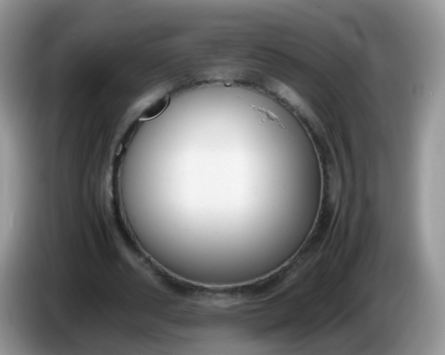 X0000086240486200704121936