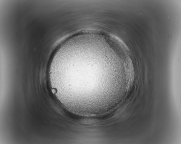 X0000086240487200704121936