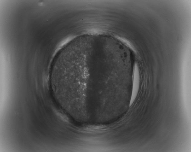 X0000086240488200704121936