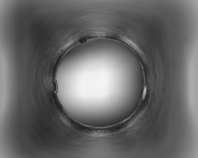X0000086240489200704121936