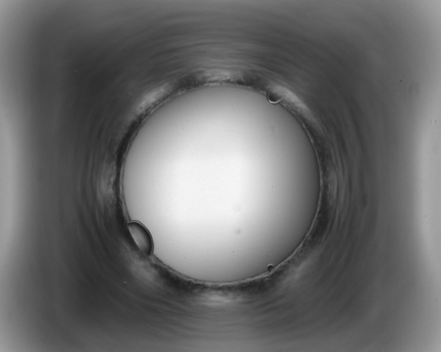 X0000086240490200704121936