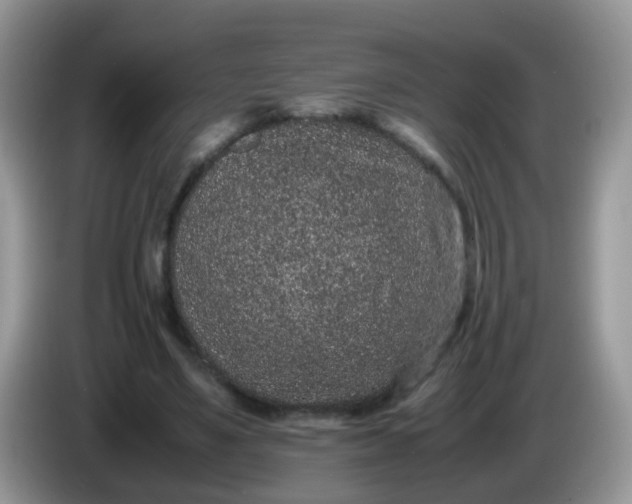 X0000086240491200704121936
