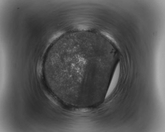 X0000086240492200704121936