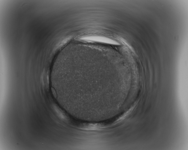 X0000086240493200704121936