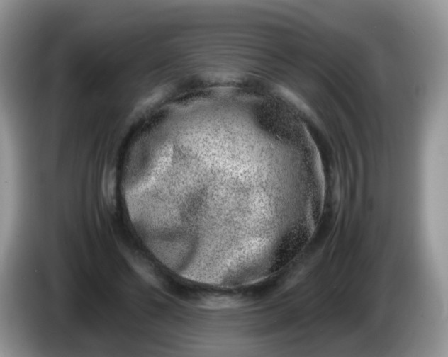 X0000086240494200704121936