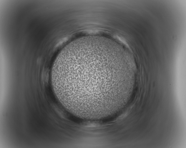 X0000086240495200704121936