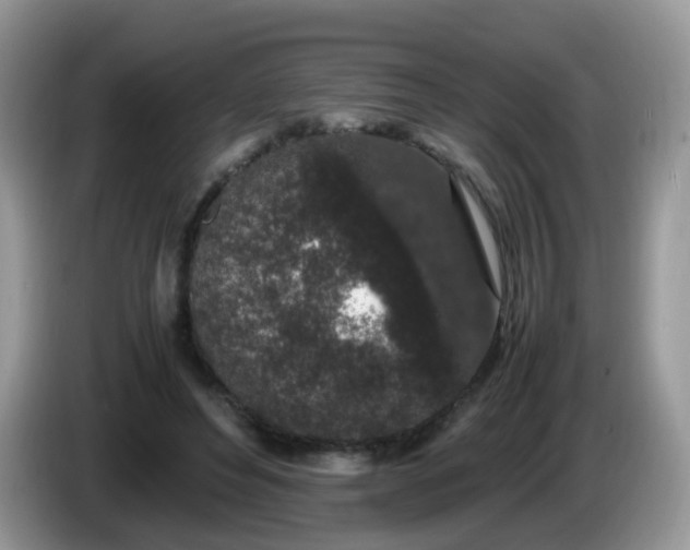 X0000086240496200704121936