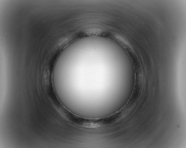 X0000086240498200704121936