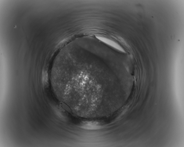 X0000086240500200704121936