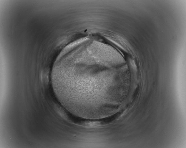 X0000086240501200704121936