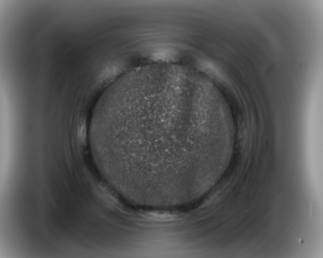 X0000086240502200704121936