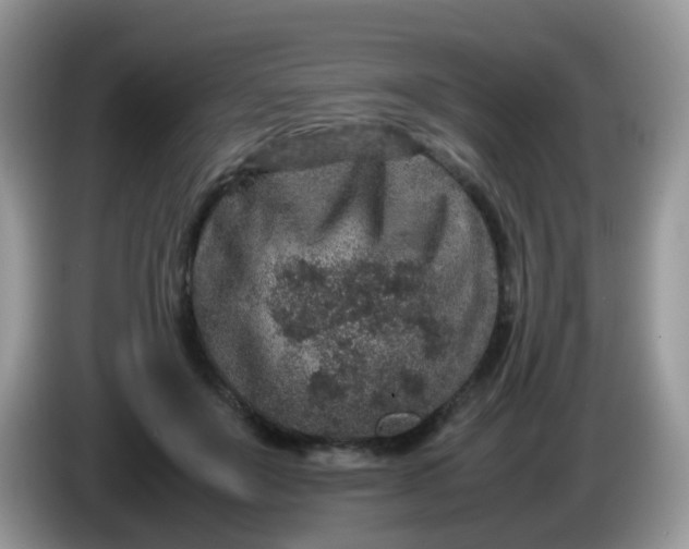 X0000086240503200704121936
