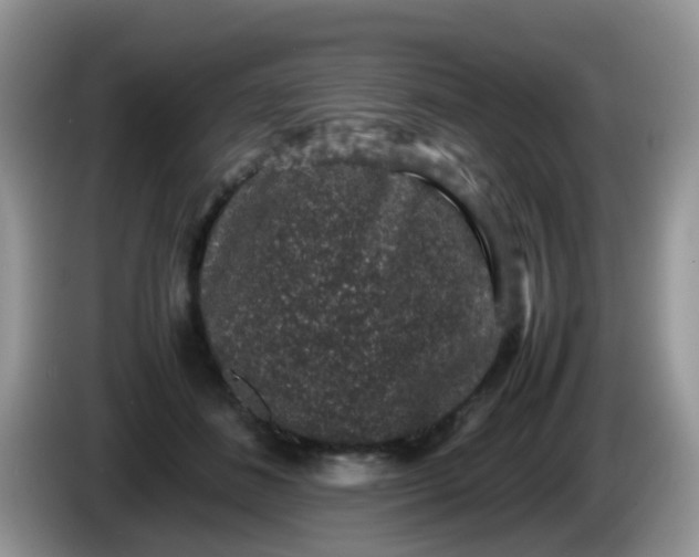 X0000086240508200704121936