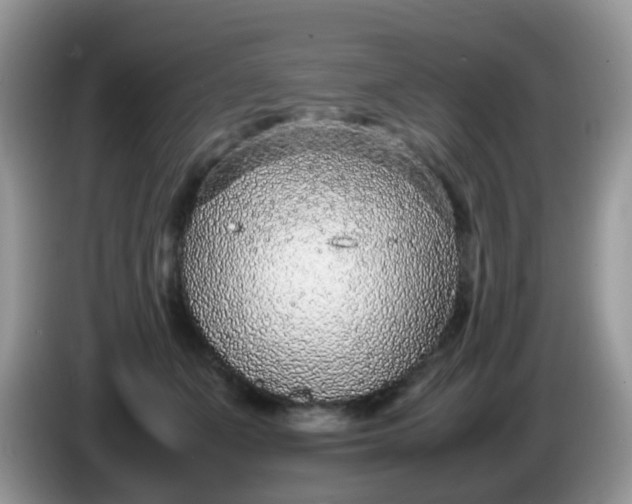 X0000086240511200704121936
