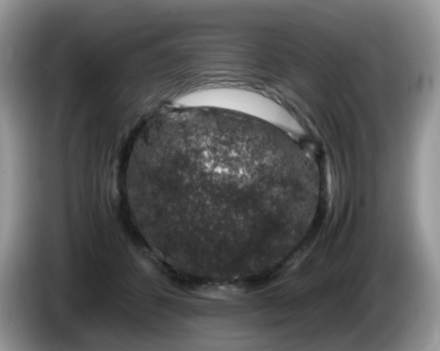 X0000086240512200704121936