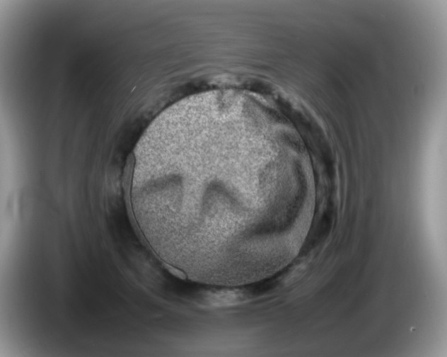 X0000086240513200704121936