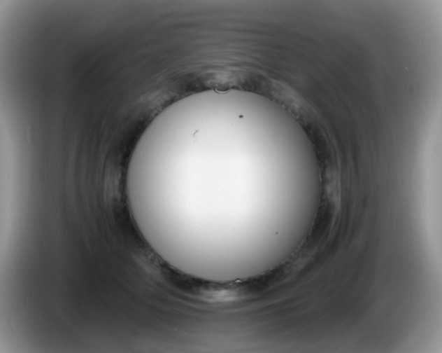 X0000086240514200704121936