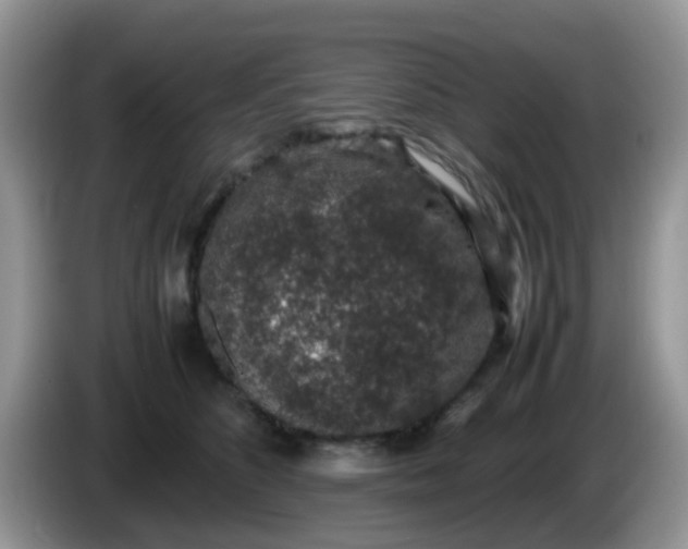 X0000086240516200704121936