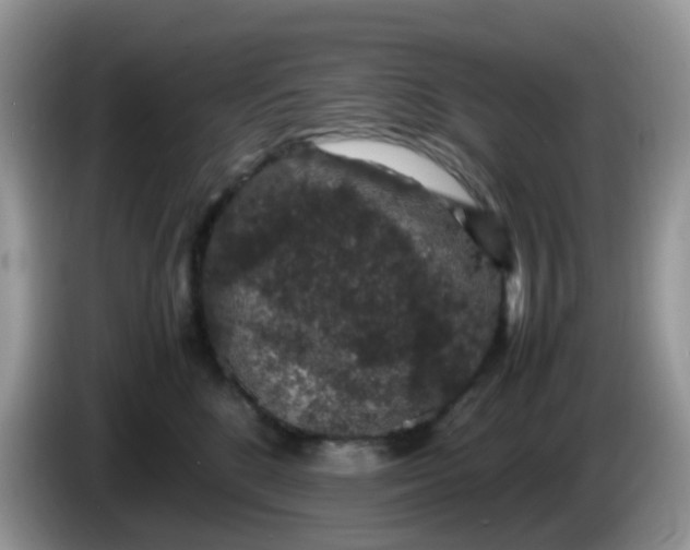X0000086240520200704121936