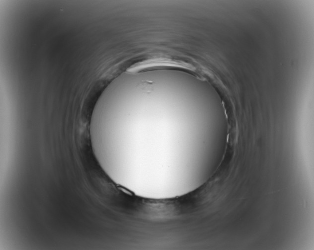 X0000086240521200704121936